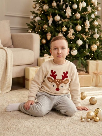 Новогодний студийный портрет мальчика 4–6 лет